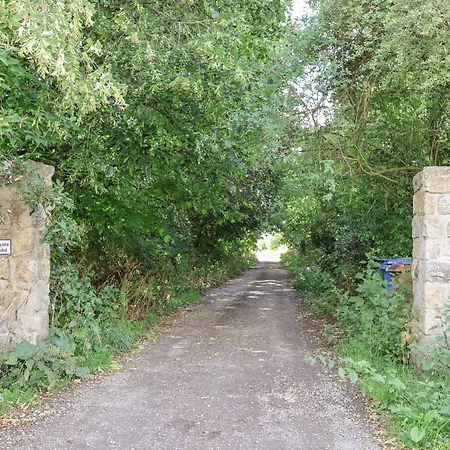 Whitehedge Holiday home